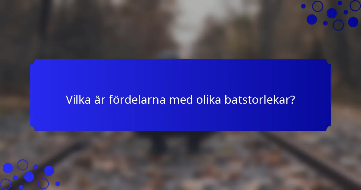 Vilka är fördelarna med olika batstorlekar?