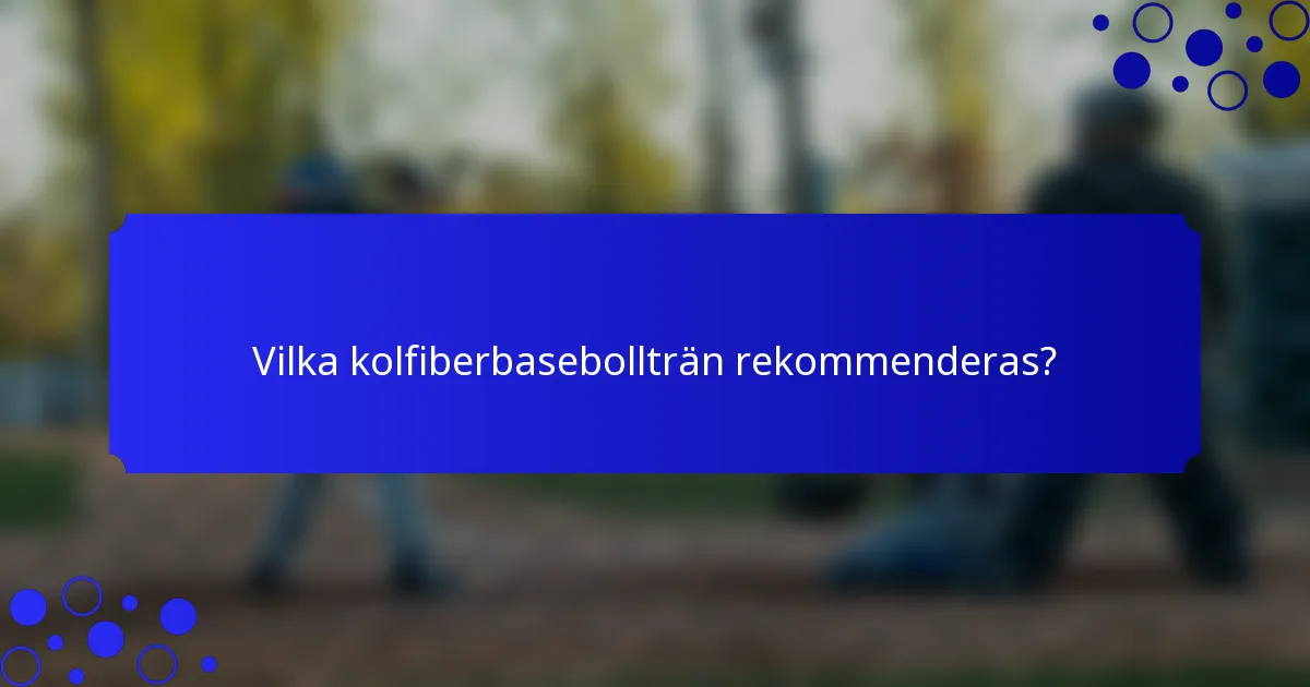 Vilka kolfiberbasebollträn rekommenderas?